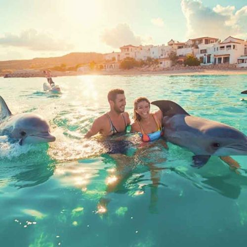 Swimming with Dolphin