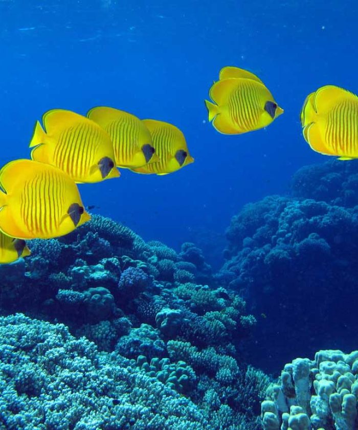 Hurghada